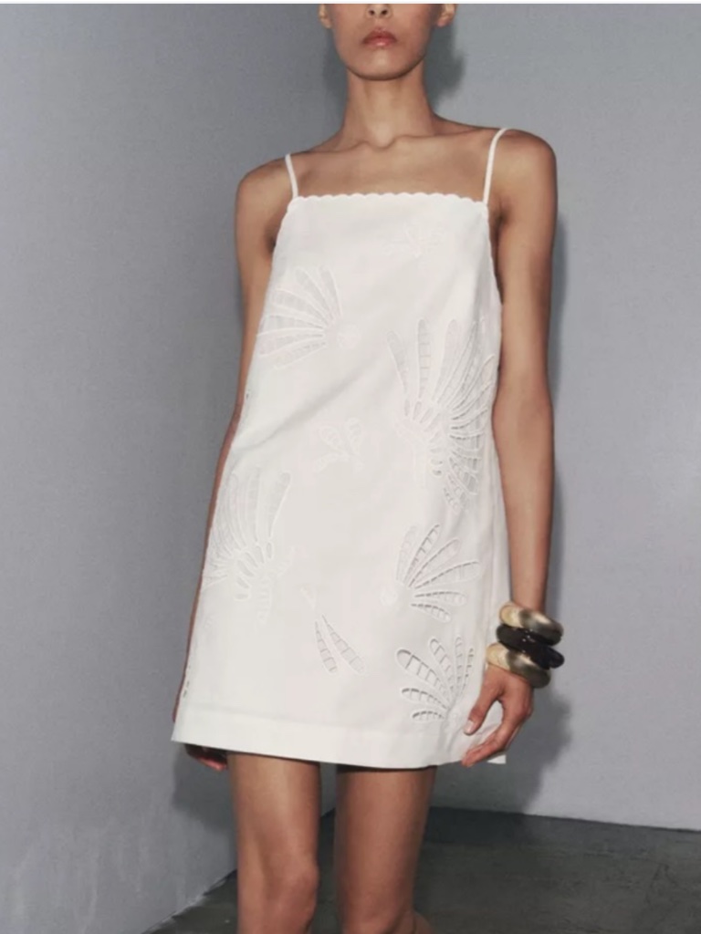 Zara Embroidered Mini Dress M